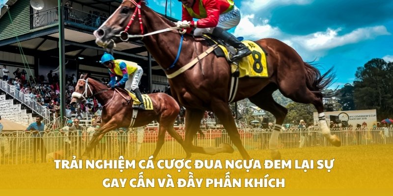 Trải nghiệm cá cược đua ngựa đem lại sự gay cấn và đầy phấn khích
