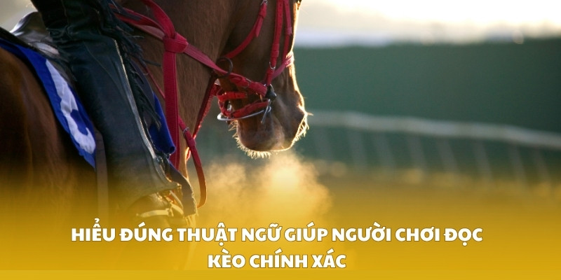 Hiểu đúng thuật ngữ giúp người chơi đọc kèo chính xác