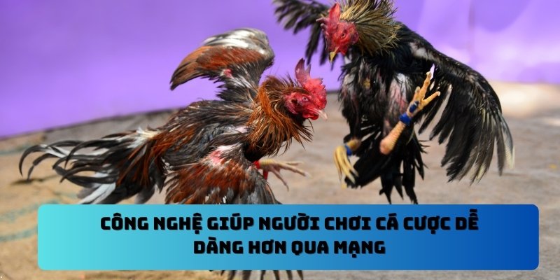 Công nghệ giúp người chơi cá cược dễ dàng hơn qua mạng