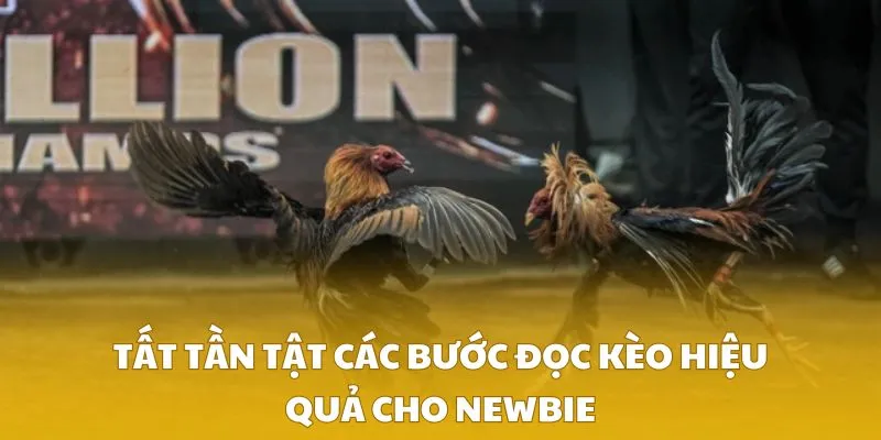 Tất tần tật các bước đọc kèo hiệu quả cho newbie