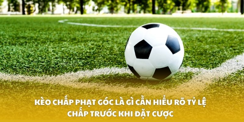 Kèo chấp phạt góc là gì cần hiểu rõ tỷ lệ chấp trước khi đặt cược